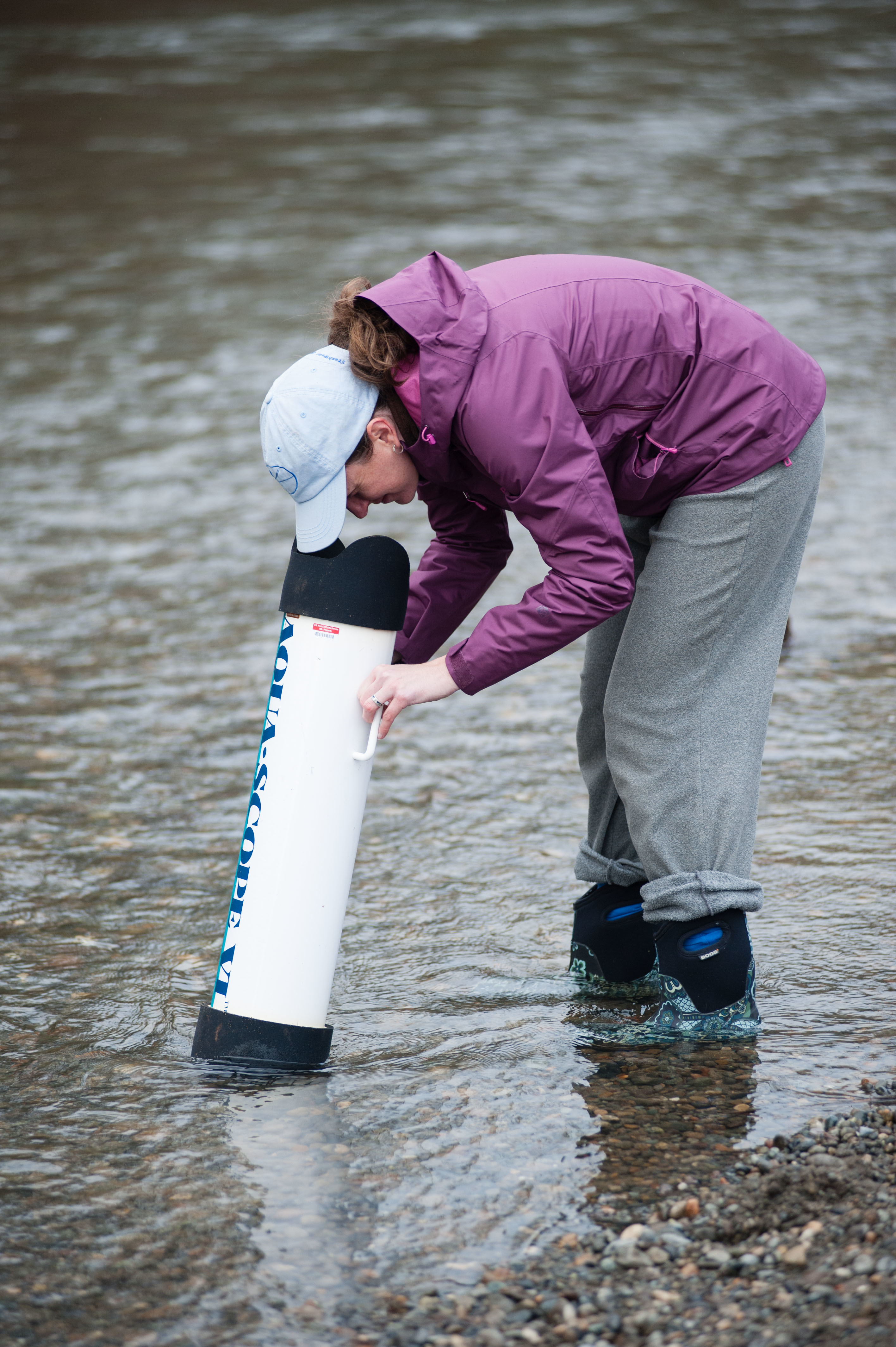 : Dr. Carri LeRoy analyzes stream particles looking through an aquascope 