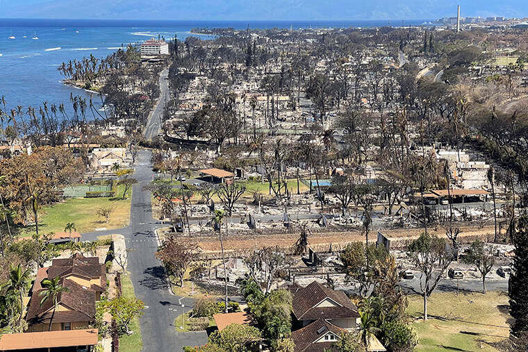 Department of Land and Natural Resources photo Lahania, Maui after wildfire