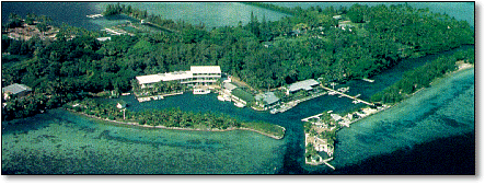 Aerial view of Moku o Loe, popularly known as Coconut Island Aerial view of Coconut Island