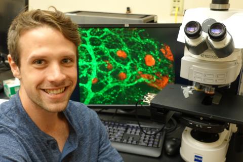 Student sitting in front of a microscope in a lab