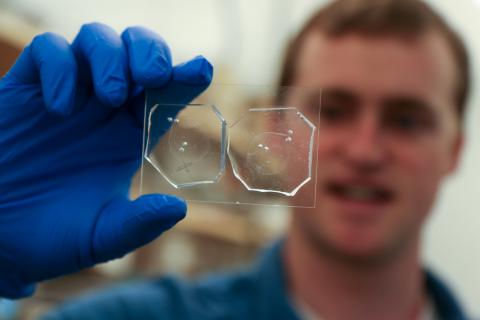 Alex Jafek works to revolutionize reproductive technologies 